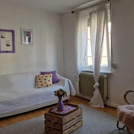 Logement Spacieux Strasbourg Proche Centre-Ville Exterior photo